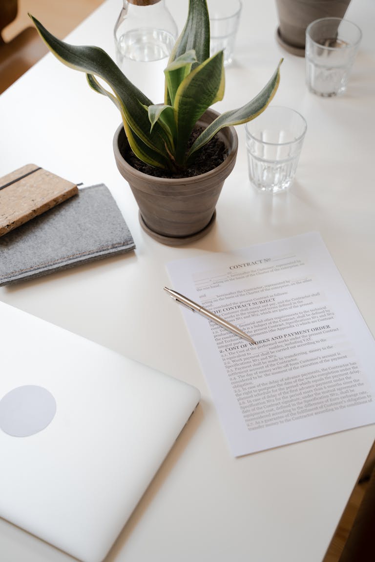 Minimalist workspace featuring a contract document, potted plant, and laptop on a white desk.