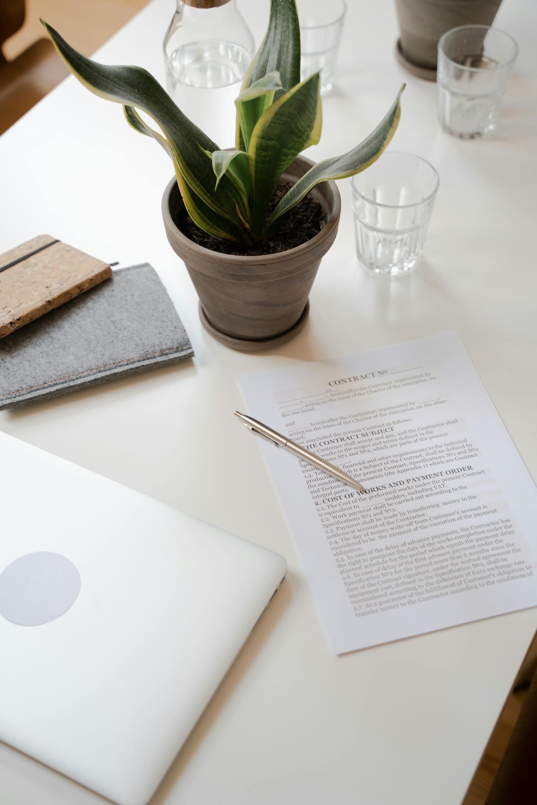 Minimalist workspace featuring a contract document, potted plant, and laptop on a white desk.